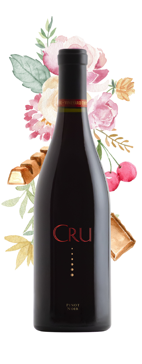 2017 Cru Pinot Noir 750ml (large img)